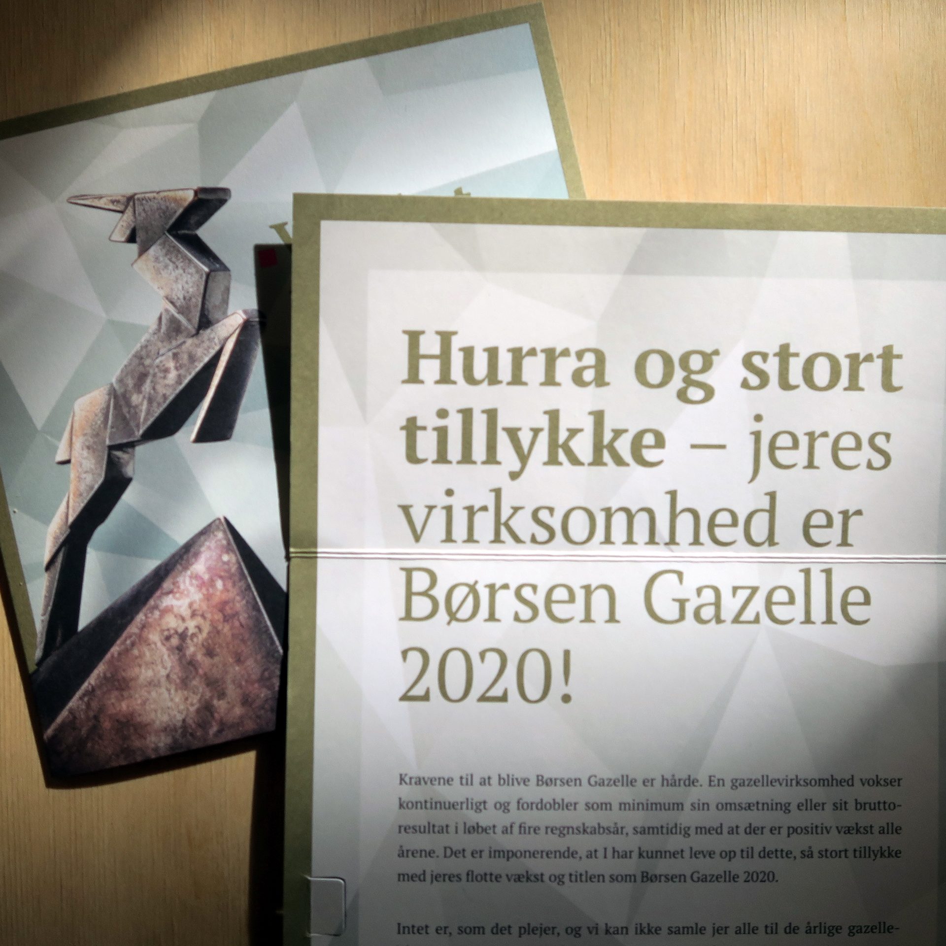 CONGRATULATIONS TO ALL GAZELLE COMPANIES 2020!